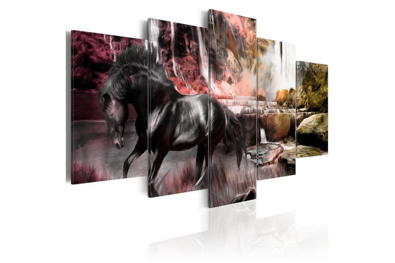 Billede Black Horse On Crimson Sky Background 200x100, Artgeist sp. z o. o.