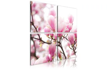 Billede Blomsternde Magnolia Træ 80x80 - Artgeist sp. z o. o. - Boligtilbehør - Billeder & kunst - Billeder på lærred