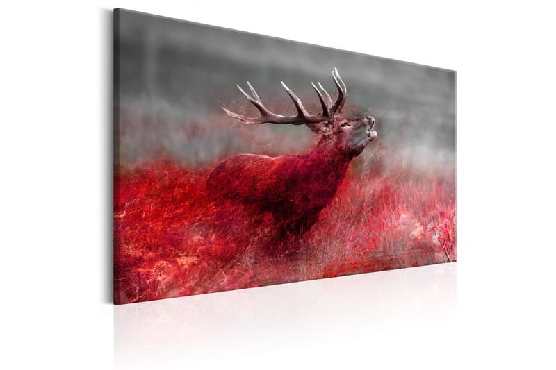 Billede Bloody Field 90x60 - Artgeist sp. z o. o. - Boligtilbehør - Billeder & kunst - Billeder på lærred