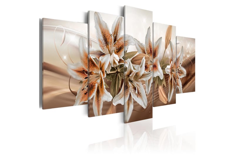 Billede Brown Graces 200x100, Artgeist sp. z o. o.