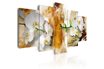 Billede Brown Paint And Orchid 100x50 - Artgeist sp. z o. o. - Boligtilbehør - Billeder & kunst - Billeder på lærred