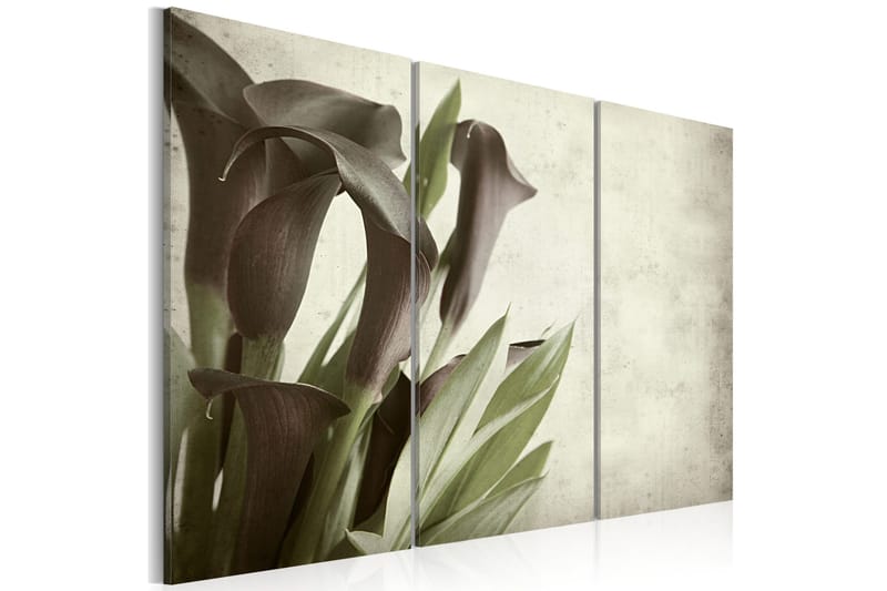 Billede Callas Vintage 120x80, Artgeist sp. z o. o.