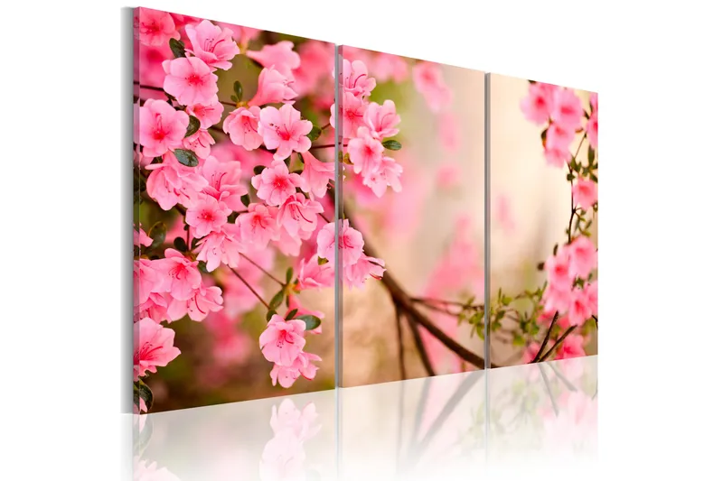 Billede Cherry Flower 60x40, Artgeist sp. z o. o.