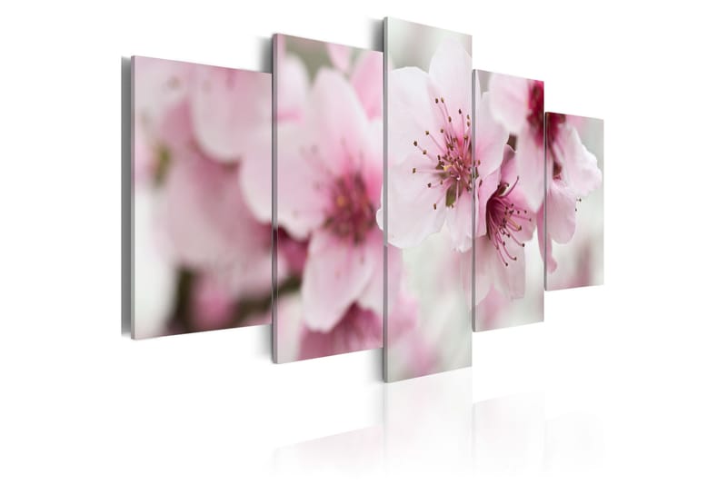 Billede Cherry- Gentleness And Beauty 200x100 - Artgeist sp. z o. o. - Boligtilbehør - Billeder & kunst - Billeder på lærred