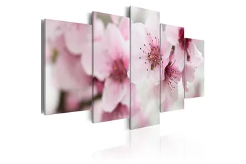 Billede Cherry- Gentleness And Beauty 200x100 - Artgeist sp. z o. o. - Boligtilbehør - Billeder & kunst - Billeder på lærred