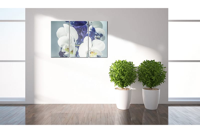 Billede Chimär Orkidéer 120x80 - Artgeist sp. z o. o. - Boligtilbehør - Billeder & kunst - Billeder på lærred