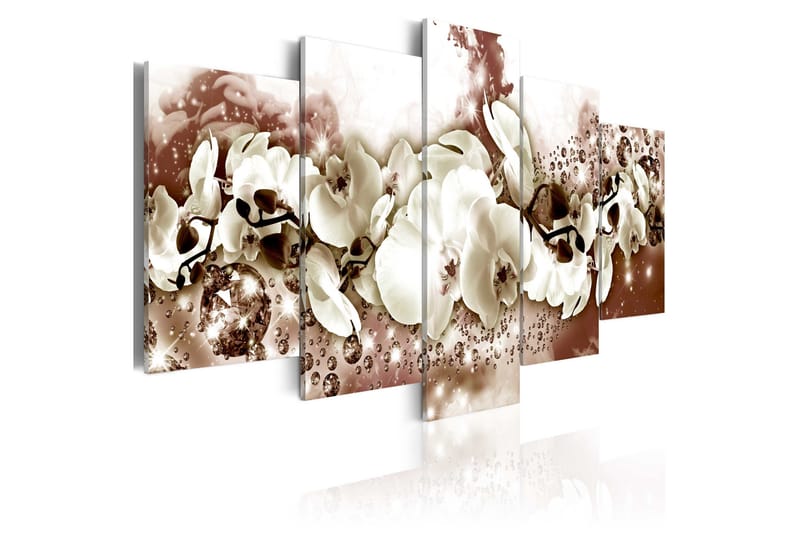 Billede Chocolate Orchid 200x100, Artgeist sp. z o. o.