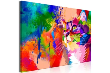 Billede Colourful Cat (1 del) Bred 120x80 - Artgeist sp. z o. o. - Boligtilbehør - Billeder & kunst - Billeder på lærred