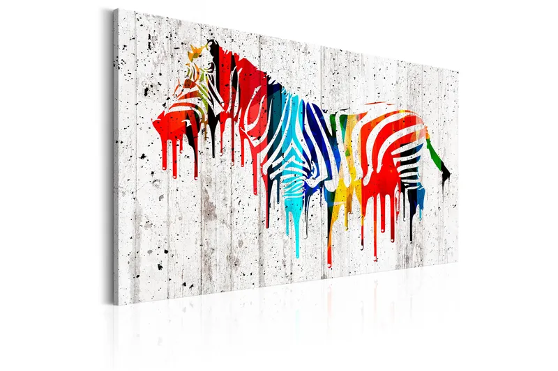 Billede Colourful Zebra 120x80, Artgeist sp. z o. o.