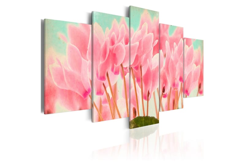 Billede Cyclamen 200x100, Artgeist sp. z o. o.