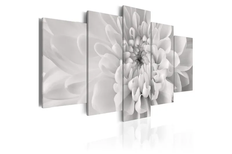 Billede Dahlia Flower In Grey Shades 200x100, Artgeist sp. z o. o.