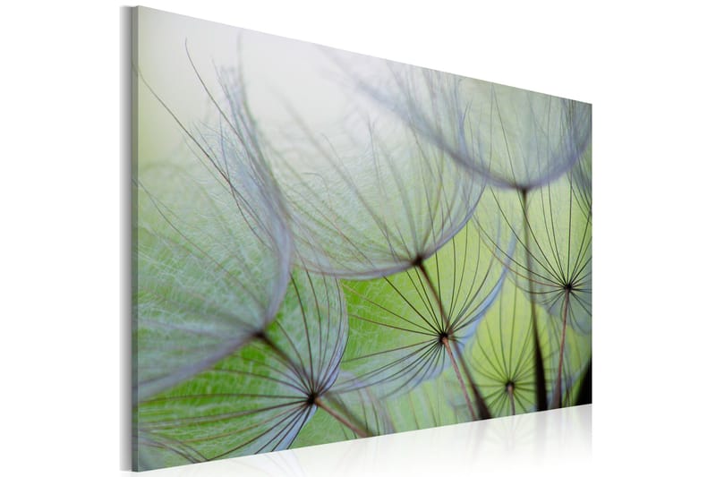 Billede Dandelion In The Wind 90x60, Artgeist sp. z o. o.