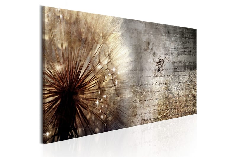 Billede Dandelion On Concrete 120x40, Artgeist sp. z o. o.