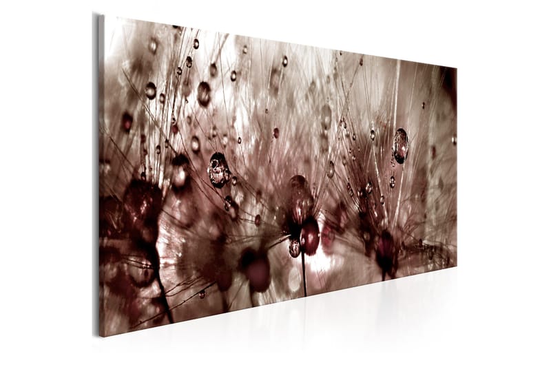 Billede Dandelions After Rain 135x45, Artgeist sp. z o. o.