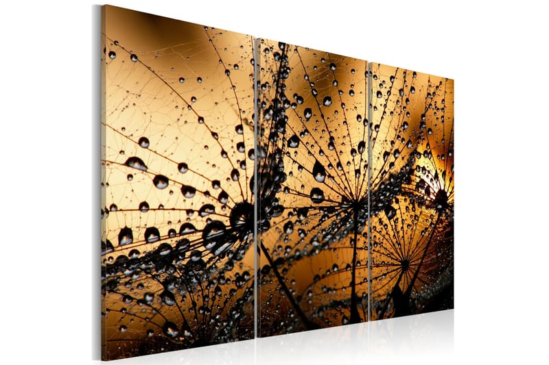 Billede Dandelions And Dew 120x80, Artgeist sp. z o. o.