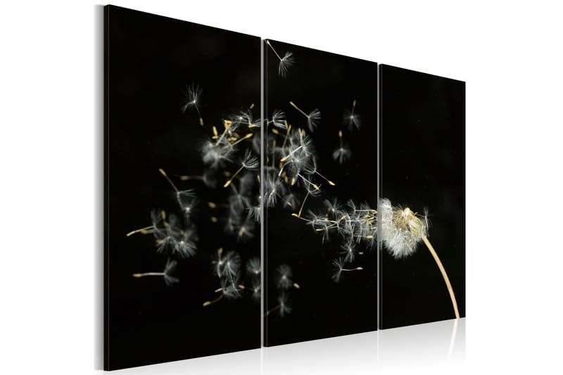 Billede Dandelions- The Transience 60x40, Artgeist sp. z o. o.