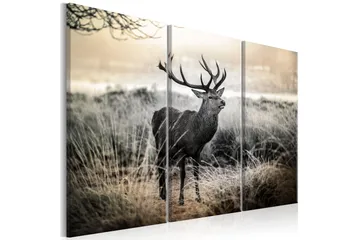 Billede Dangerous Horns 120x80 - Artgeist sp. z o. o. - Boligtilbehør - Billeder & kunst - Billeder på lærred