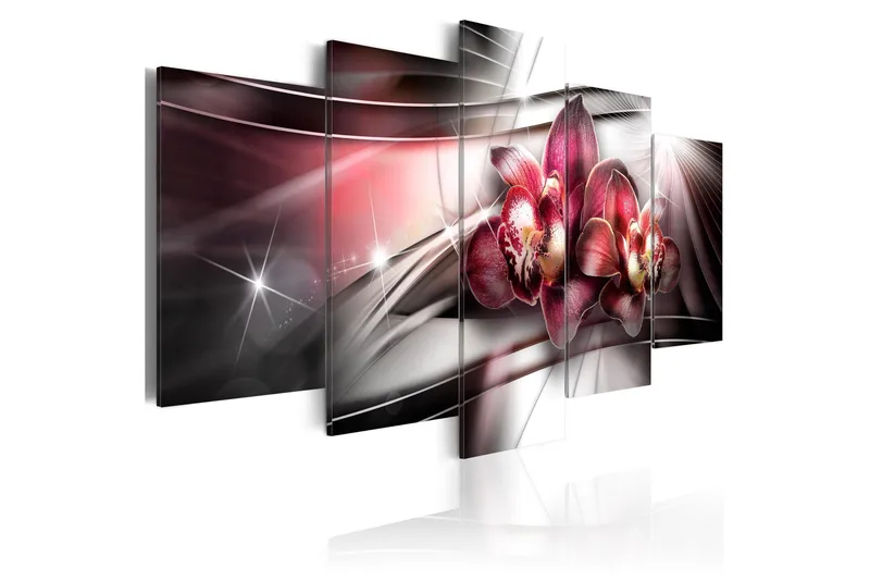 Billede Dark Beauty 100x50, Artgeist sp. z o. o.
