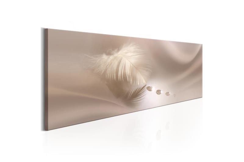 Billede Delicate Feather 135x45 - Artgeist sp. z o. o. - Boligtilbehør - Billeder & kunst - Billeder på lærred
