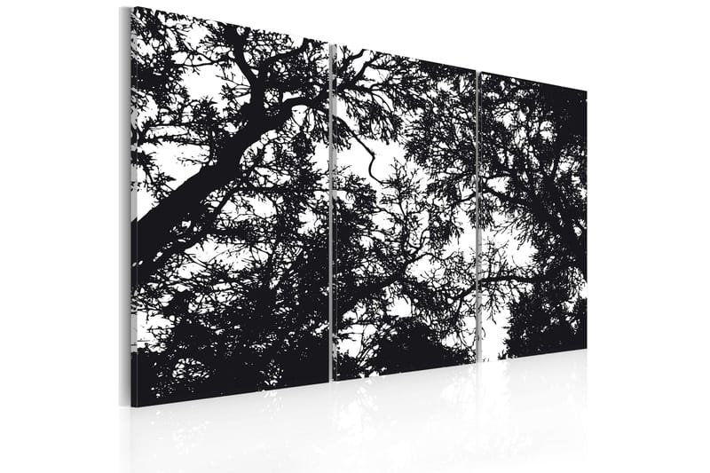 Billede Dense Forest 90x60, Artgeist sp. z o. o.