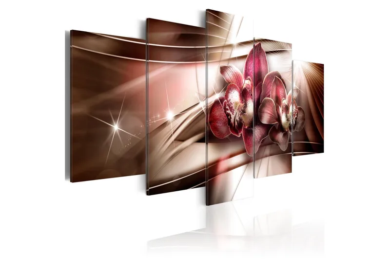 Billede Desert Wayfarer 100x50, Artgeist sp. z o. o.