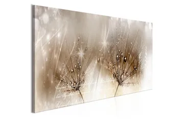 Billede Drops Of Dew 1 Part Brown Narrow 120x40 - Artgeist sp. z o. o. - Boligtilbehør - Billeder & kunst - Billeder på lærred