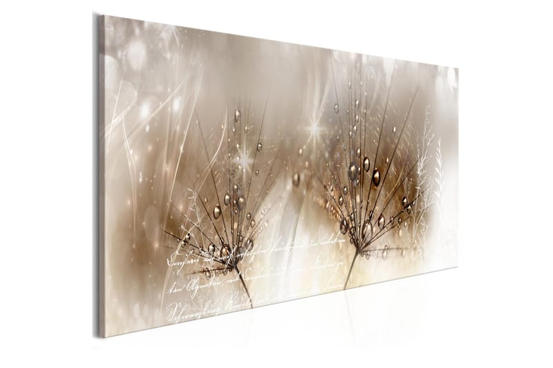 Billede Drops Of Dew 1 Part Brown Narrow 120x40, Artgeist sp. z o. o.