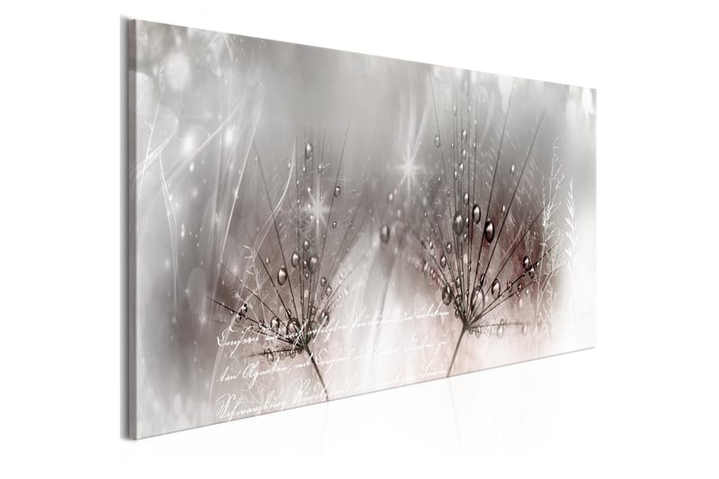 Billede Drops Of Dew 1 Part Pink Narrow 120x40, Artgeist sp. z o. o.