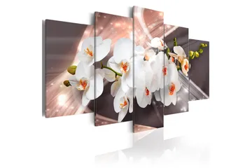 Billede Echo Of Beauty 100x50 - Artgeist sp. z o. o. - Boligtilbehør - Billeder & kunst - Billeder på lærred