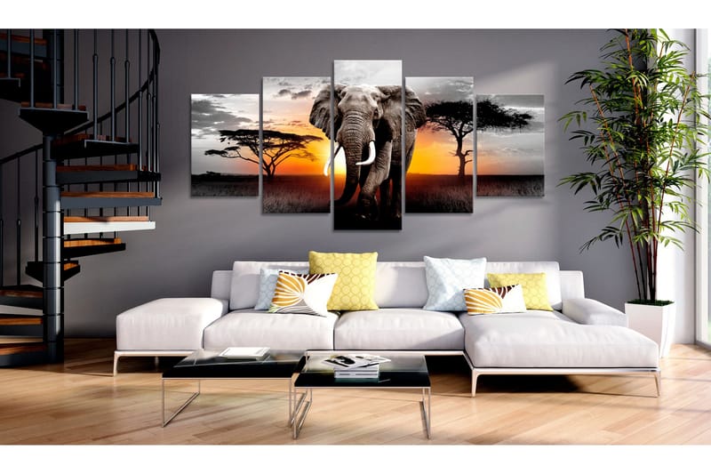 Billede Elephant At Sunset 100x50 - Artgeist sp. z o. o. - Boligtilbehør - Billeder & kunst - Billeder på lærred