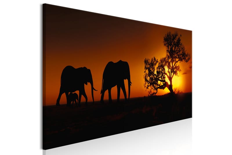 Billede Elephant Family (Orange) 120x40 - Artgeist sp. z o. o. - Boligtilbehør - Billeder & kunst - Billeder på lærred