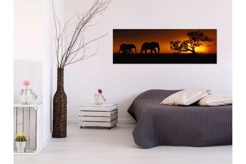 Billede Elephant Family (Orange) 120x40, Artgeist sp. z o. o.