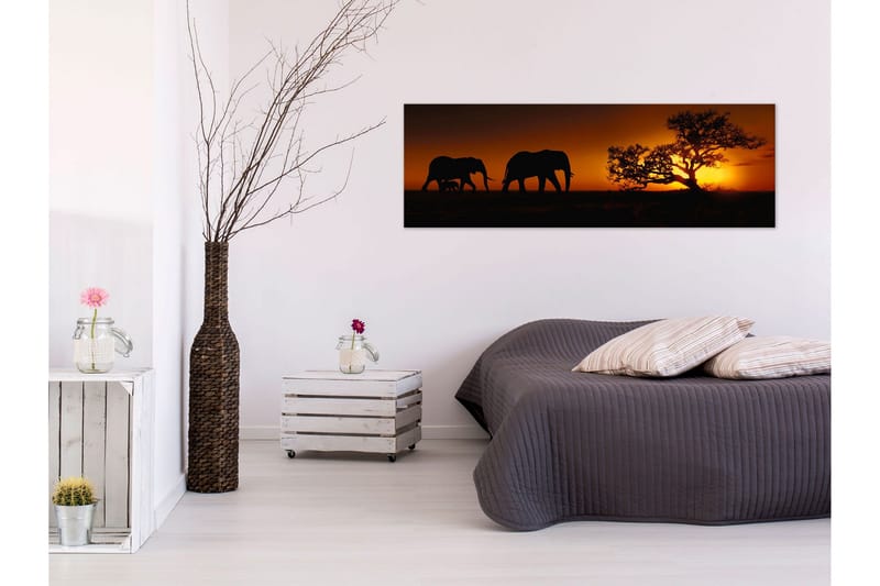 Billede Elephant Family (Orange) 150x50, Artgeist sp. z o. o.