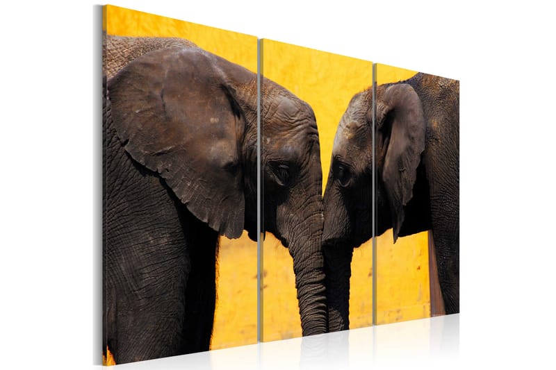 Billede Elephant Kiss 120x80 - Artgeist sp. z o. o. - Billeder på lærred