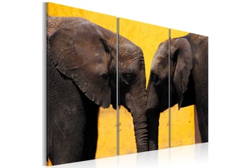 Billede Elephant kiss 90x60