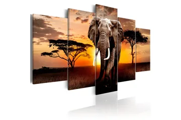 Billede Elephant Migration 200x100 - Artgeist sp. z o. o. - Boligtilbehør - Billeder & kunst - Billeder på lærred