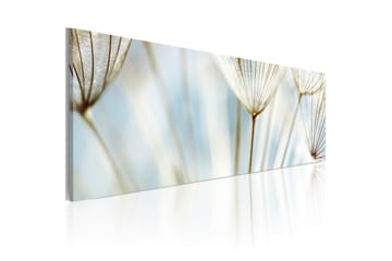 Billede Ephemeral Moments 120x40