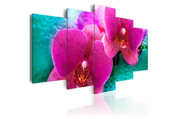 Billede Exotic Orchids 200x100 - Artgeist sp. z o. o. - Boligtilbehør - Billeder & kunst - Billeder på lærred