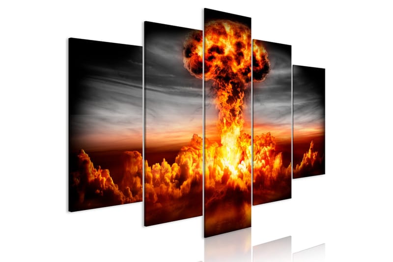 Billede Explosion 5 Parts Wide 200x100, Artgeist sp. z o. o.