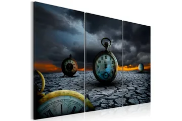 Billede Extermination Time 120x80
