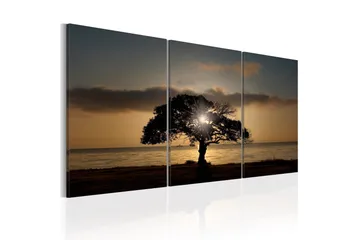 Billede Extraordinary Nature 120x60 - Artgeist sp. z o. o. - Boligtilbehør - Billeder & kunst - Billeder på lærred