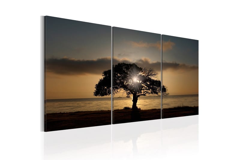 Billede Extraordinary Nature 120x60, Artgeist sp. z o. o.