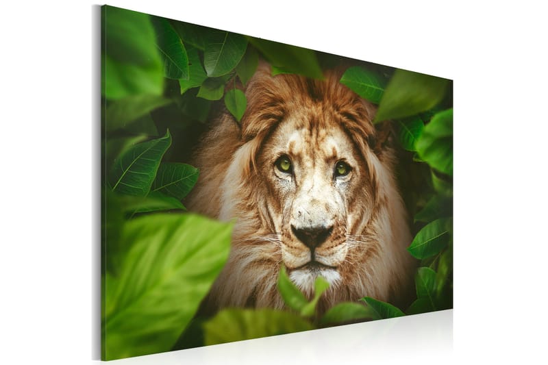 Billede Eyes Of The Jungle 90x60, Artgeist sp. z o. o.