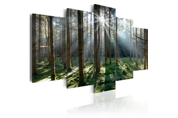 Billede Fairytale Forest 100x50 - Artgeist sp. z o. o. - Boligtilbehør - Billeder & kunst - Billeder på lærred