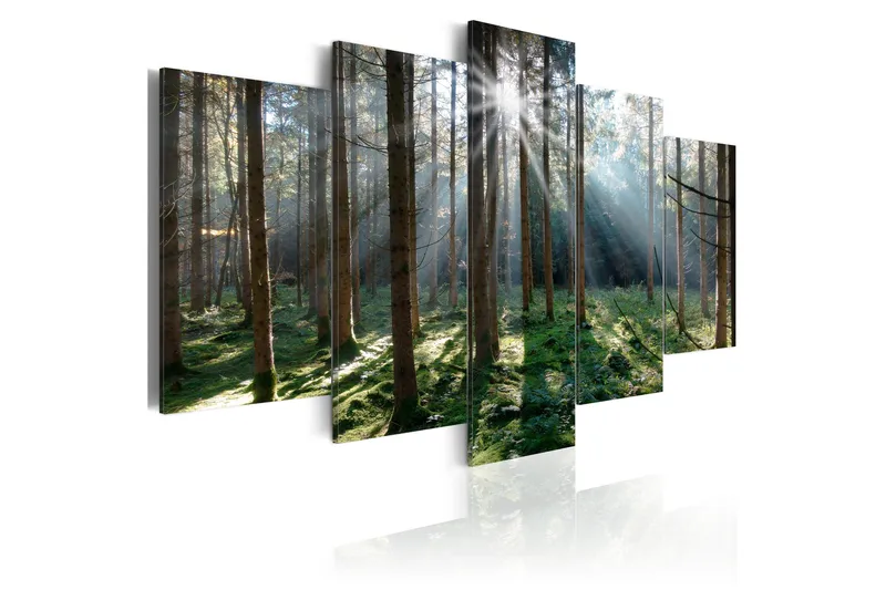 Billede Fairytale Forest 200x100, Artgeist sp. z o. o.