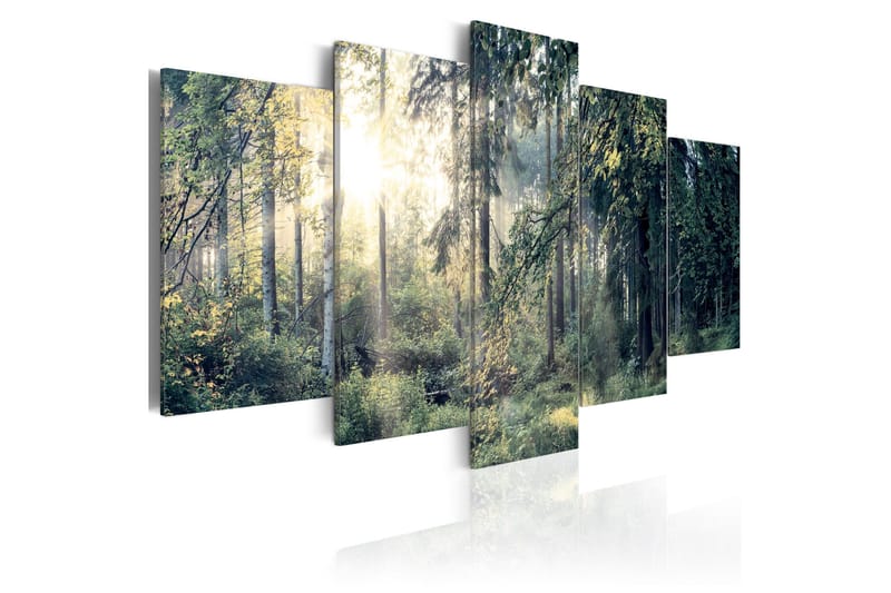 Billede Fairytale Landscape 100x50, Artgeist sp. z o. o.