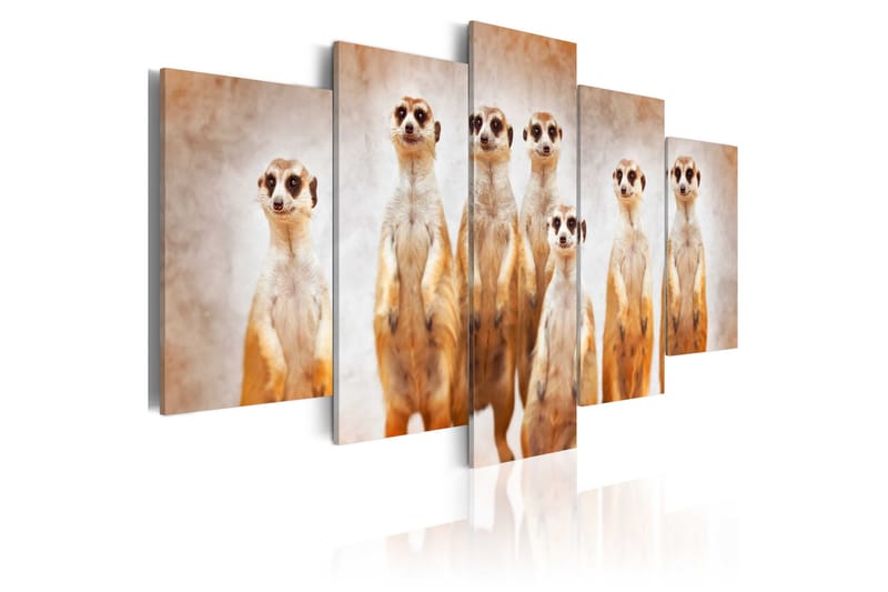 Billede Family Of Meerkats 100x50, Artgeist sp. z o. o.