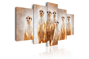 Billede Family Of Meerkats 200x100 - Artgeist sp. z o. o. - Boligtilbehør - Billeder & kunst - Billeder på lærred