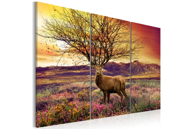 Billede Fancy Hjorthorn Triptych 60x40, Artgeist sp. z o. o.