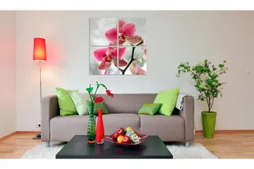 Billede Fancy Orkidé 40x40 - Artgeist sp. z o. o. - Boligtilbehør - Billeder & kunst - Billeder på lærred